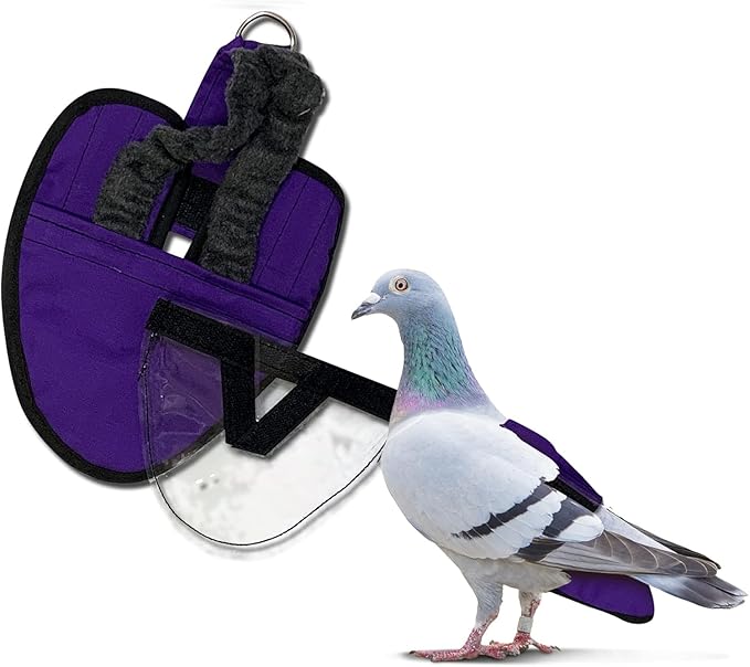 Hen Holster Starter Kit - Wrap-Around Duck Diaper w/Removable Liner & Fixed Tab - Durable, Secure Fit, Easy-to-Wear - Essential Duck Supplies for Real Ducks, Made in USA - Purple, XS