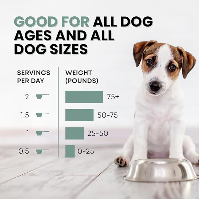 K9 Essentials: Organ Supplement for Dogs (Puppy Essentials, Dog Accessories, Pets, Dog Stuff, Puppy Supplies, Hip and Joint Supplement, Multivitamin, Collagen, Probiotics for Dogs, Itch Relief) – 90g