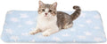 Dog Cat Bed Mat, Soft Coral Fleece Pet Cushion Pad with Cute Stars Print, Warm Washable Pet Bed 21x14 Inches, (Blue), Intended for Medium Small Dog Cat