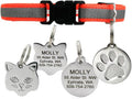 GoTags Reflective Cat Collar with Personalized ID Tag in Stainless Steel, Breakaway Cat Collar with Bell and Custom Engraved Cat Tag with up to 4 Lines of Custom Text, (Orange)