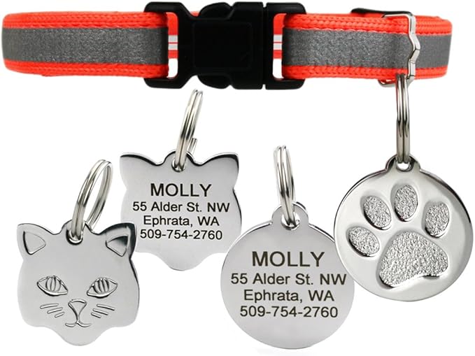 GoTags Reflective Cat Collar with Personalized ID Tag in Stainless Steel, Breakaway Cat Collar with Bell and Custom Engraved Cat Tag with up to 4 Lines of Custom Text, (Orange)