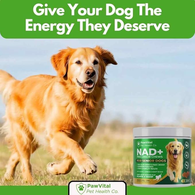 NAD+ Precursor Chews for Senior Dogs – Cellular Energy, Longevity & Cognitive Support – Nicotinamide Riboside, Resveratrol, Quercetin, Glucosamine, Omega-3 – Made with Real Chicken – 90 Count