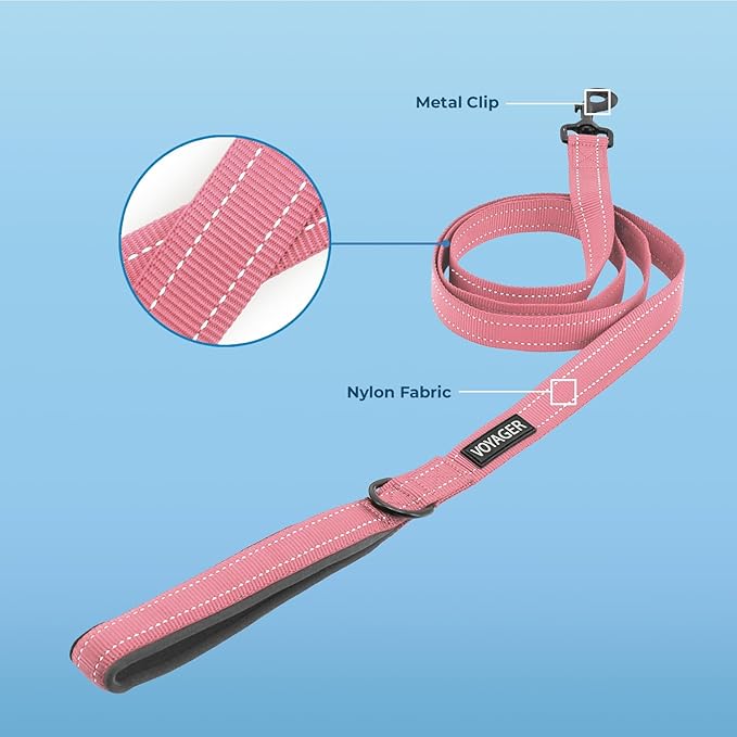 Best Pet Supplies Voyager Reflective Dog Leash or Collar with Neoprene Handle, for Small, Medium, and Large Breed Puppies, Cute and Heavy Duty for Walking, Running and Training - Pink (Leash), S