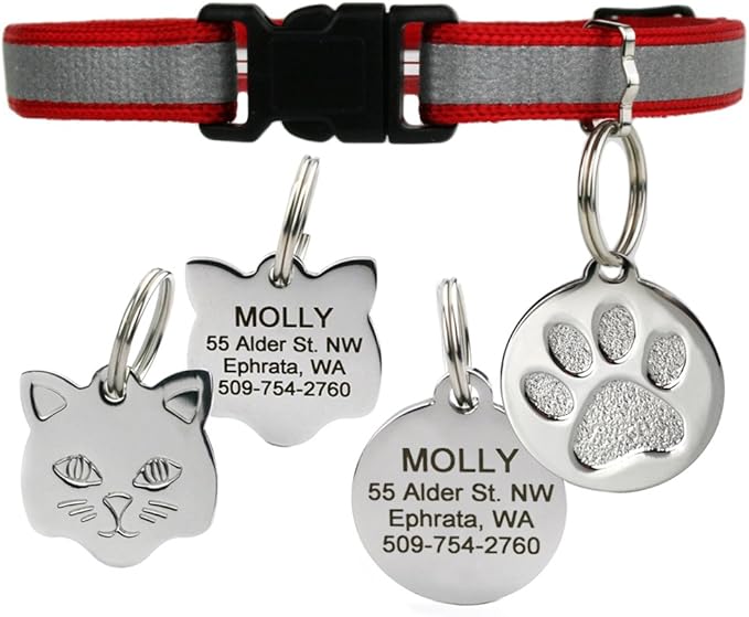 GoTags Reflective Cat Collar with Personalized ID Tag in Stainless Steel, Breakaway Cat Collar with Bell and Custom Engraved Cat Tag with up to 4 Lines of Custom Text, (Red)