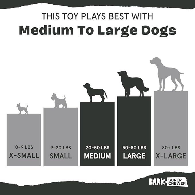 Barkbox Super Chewer Tough Dog Chew Toys for Aggressive Chewers, Treat Dispensing (Comet-Small)