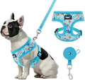 PUPTECK Soft Mesh Dog Harness and Leash Set Pet Puppy Cat Comfort Padded Vest No Pull Harnesses, Blue Floral, S