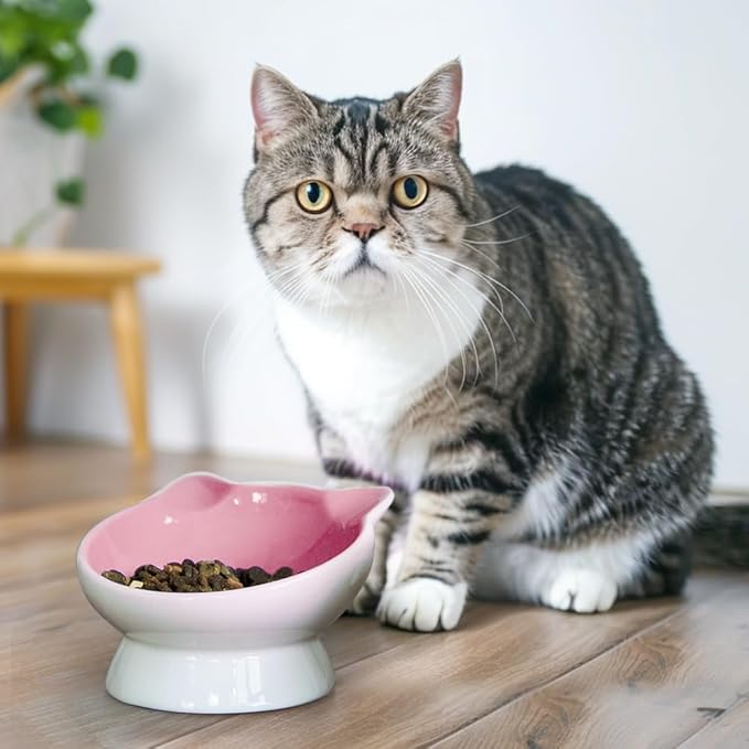 Raised Cat Food Bowl Ceramic 15° Tilted Cat Food Bowls Protect Cat's Spine Anti Vomiting Backflow Prevention for Adult, Kitten, and Small Dogs (Pink)