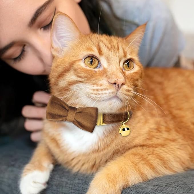 Personalized Cat Collar with Name Plate,Adjustable Tough Nylon Cat ID Collars with Bell,Customize Engraved Pet Name and Phone Number (Velvet Style B)