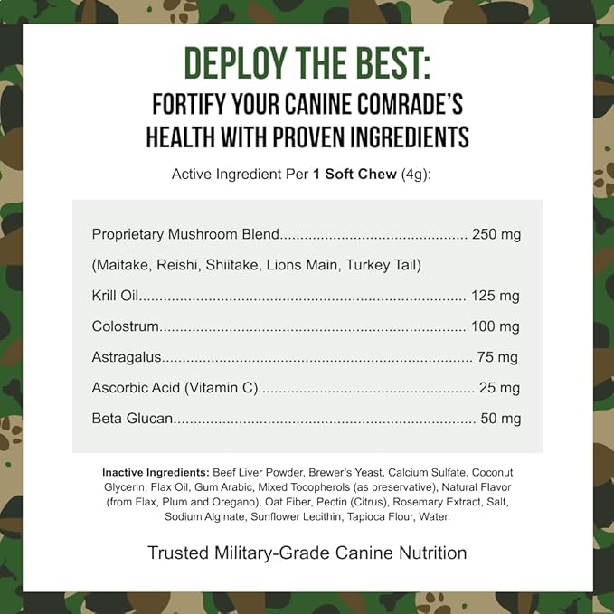 Immune Support Soft Chews for Dogs, Immune Health Supplement, 90 Count, Natural Ingredients, Beef Liver Flavor, Veteran Owned – Operation Good Boy