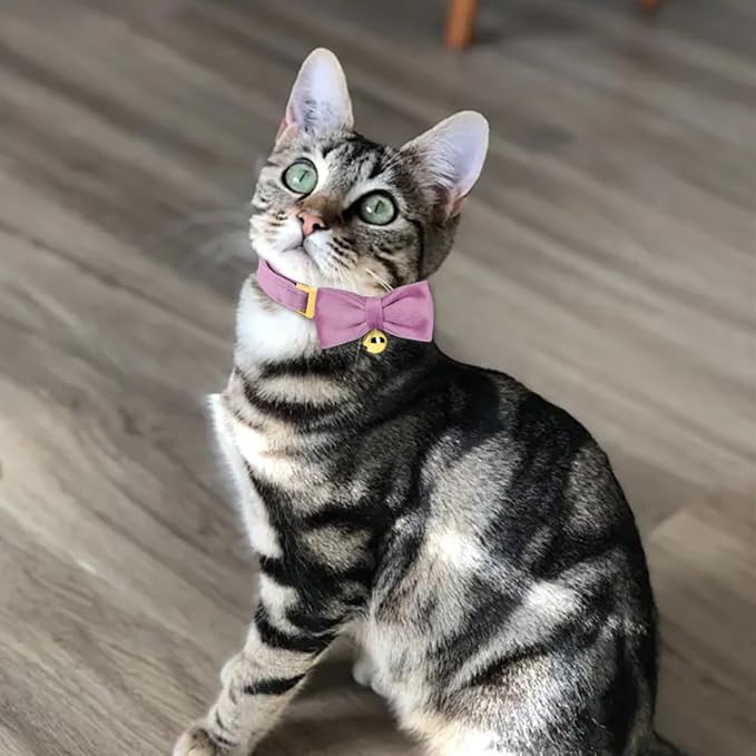 Personalized Cat Collar with Name Plate,Adjustable Tough Nylon Cat ID Collars with Bell,Customize Engraved Pet Name and Phone Number (Velvet Style B)