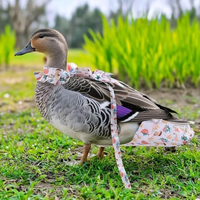 Chicken Diapers for Hens, Roosters, Diapers for Ducks with Walking Leash, Reusable Pet Duck Diapers Chick Clothes Waterproof Poultry Nappies for Geese Pet Ducks Chicken-Mushroom, S
