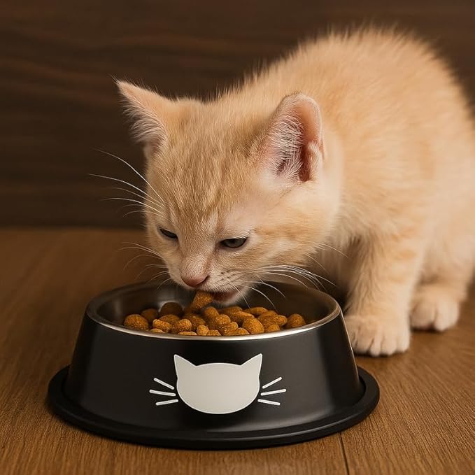 2 Pack Printed Stainless Steel Cat Bowls – 8.1 fl oz Anti-Skid Food & Water Cat Feeding Bowls|Cat Dish for Food and Water Bowl|Cat Feeding Bowl for Kitten (Blue & Red)