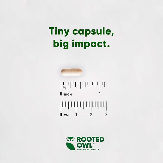 Rooted Owl Joint and Muscle Support for Large Dogs (Over 30 Lbs) - Supplement with UC-II Type II Collagen and L-Carnitine - 30 Count