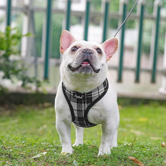 PUPTECK Soft Mesh Dog Harness and Leash Set Pet Puppy Cat Comfort Padded Vest No Pull Harnesses, Black&White, M