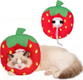 BINGPET Cat Cone Collars Soft,Cat Recovery E Collars After Surgery to Stop Licking,Waterproof Adjustable Elizabeth Neck Cones Cute Pet Donut Pillow for Cats Kitten Puppy Wound Healing After Surgery,S