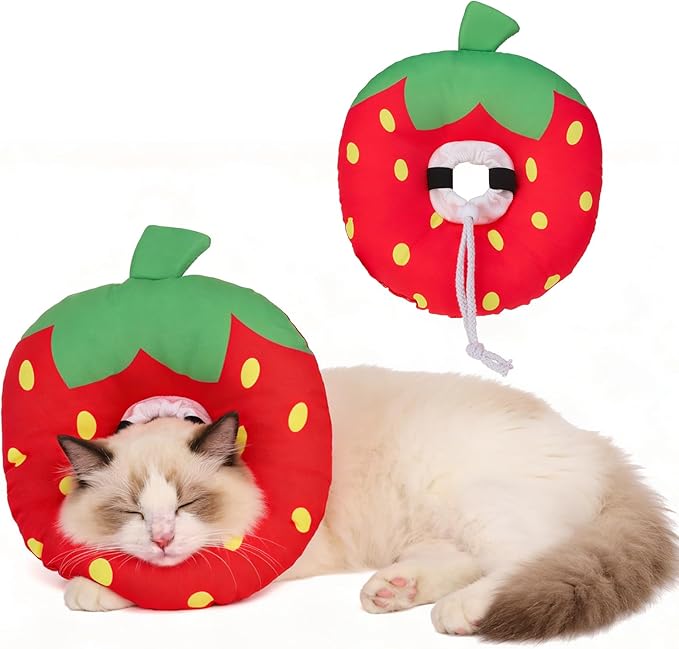 BINGPET Cat Cone Collars Soft,Cat Recovery E Collars After Surgery to Stop Licking,Waterproof Adjustable Elizabeth Neck Cones Cute Pet Donut Pillow for Cats Kitten Puppy Wound Healing After Surgery,S