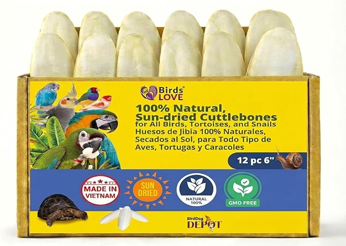 Birds LOVE 5.5 - 6″ Cuttlebones for Birds – 100% Natural Sun-Dried Calcium & Beak Conditioning Supplement for Parakeets, Budgies, Cockatiels, Finches & Canaries – 12 Pack with Holder – Made in Vietnam