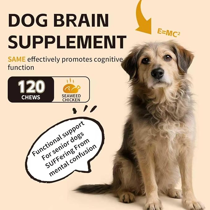 Lion's Mane Mushrooms for Dogs - Dementia Support – Supports Healthy Brains and Nervous Systems - Same, Turkey Tail, Lion's Mane, Reishi, Cordyceps, Supplement for Senior Dogs – 120 Tablets