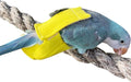 Parrot Bird Diapers, Birds Flight Suit, Parrot Clothes, Pet Animal Costumes, Bird Clothes, Cockatiel Bird Diaper, Pet Bird Diapers, Parrot Flight Suit, Bird Parrot Clothes (Yellow, XL)