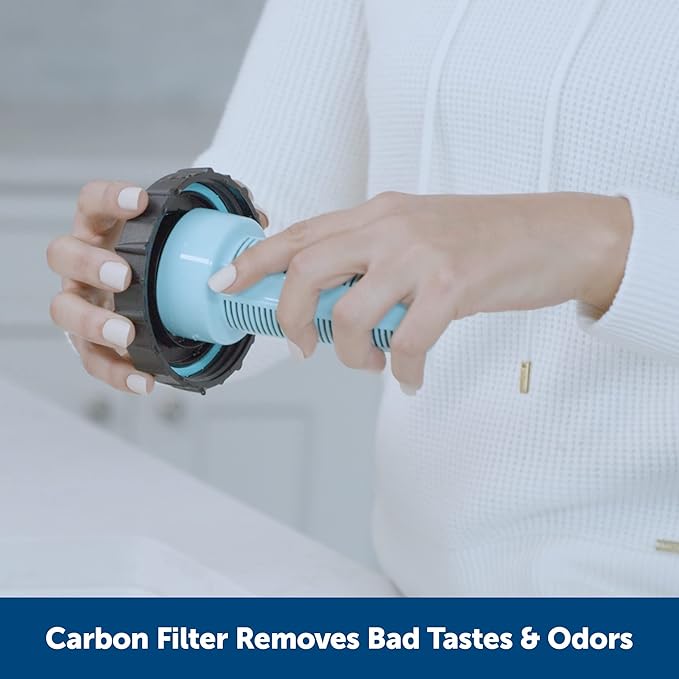 PetSafe Healthy Pet Water Filter - Removes Odor & Sediment - Natural Coconut Shell Carbon - Compatible with Healthy Pet Water Station - Replacement Filters - 2-Pack