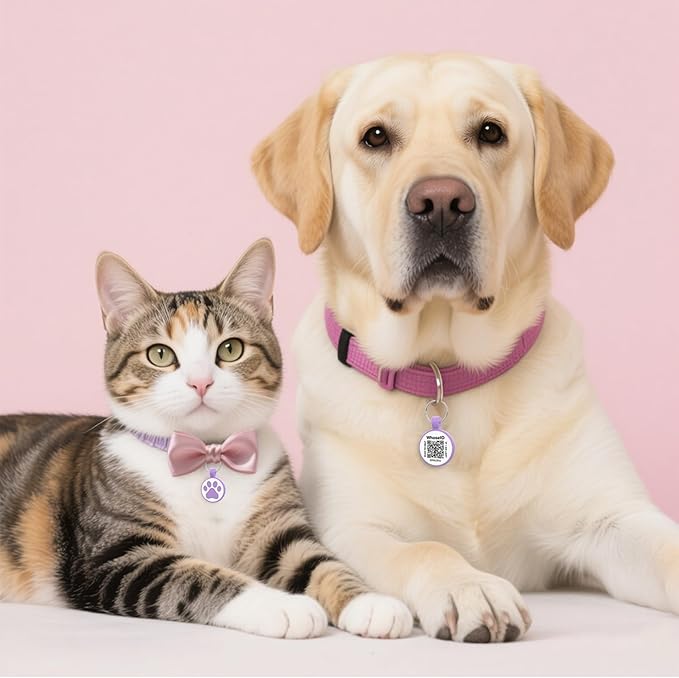 WhoseID QR Code Tag, Modifiable Online Profile Page, Multiple Emergency Contact, Silent Silicone, Lightweight, No Jinging, Collar Accessories, Personalized Cat Tag (Small Breeds - 1", Purple)