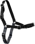 PetSafe Easy Walk Harness for Dogs - Pull-Free Walks - Patented Martingale Loop Design - Front Chest Leash Attachment - Comfort Straps - Breathable Harness Design - Medium, Charcoal/Black