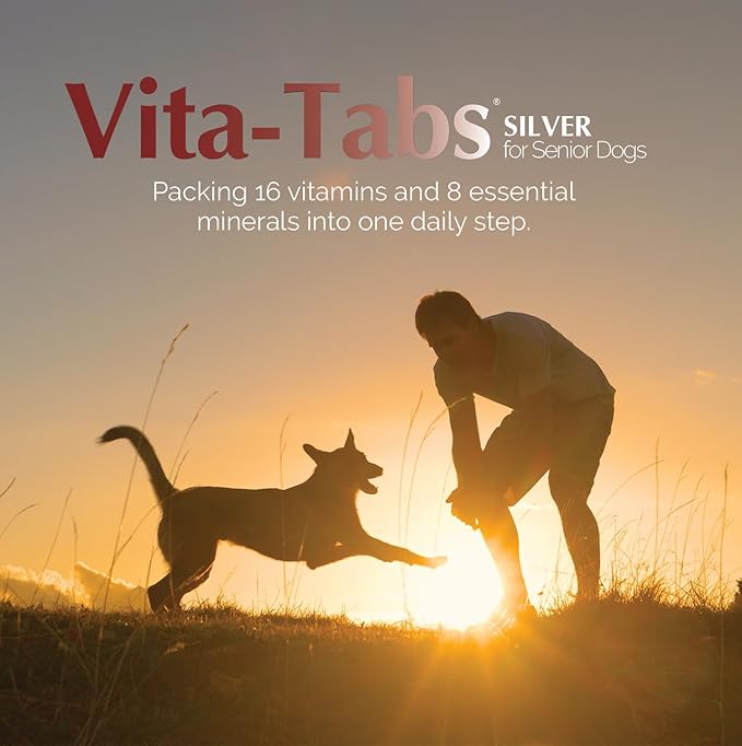 Silver - Vitamins, Minerals, Nutrients - Support for Senior Dog - Supplement for Healthy Bone, Joint, Energy, Immune System - 100 Chewable Tablets
