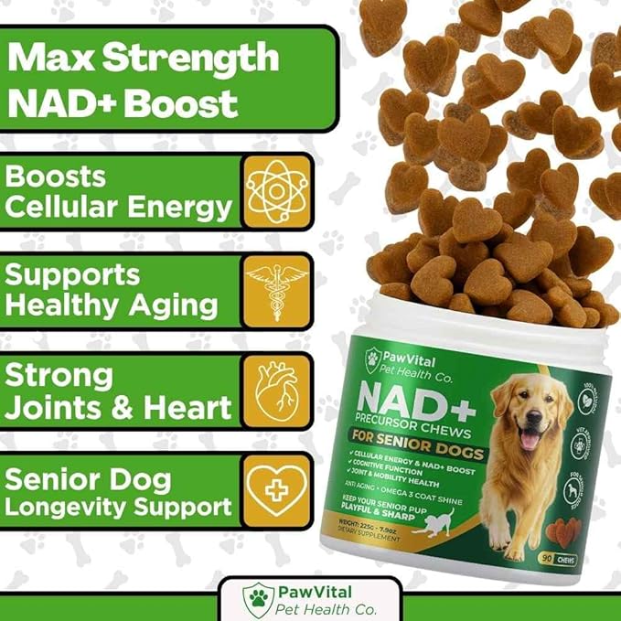 NAD+ Precursor Chews for Senior Dogs – Cellular Energy, Longevity & Cognitive Support – Nicotinamide Riboside, Resveratrol, Quercetin, Glucosamine, Omega-3 – Made with Real Chicken – 90 Count