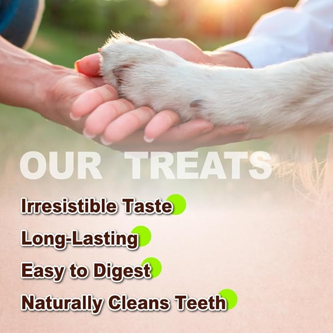 A Freschi srl Turkey Tendons for Dogs, USA-Sourced, Healthy Dog Treats, Rawhide-Free Puppy Chews, Long Lasting, All Natural, Hypoallergenic Dog Treats for Small Breeds, 4 Count Pack Rope (S)