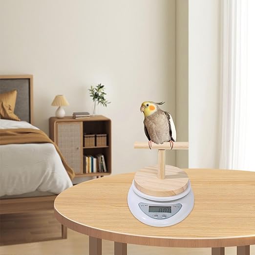 Parrot Scale - Small Pet Digital Scale | Bird Weight Balance Tool, Budgies Weighing Scale, Bird Weight Measuring Tool, Convenient Weight Changing Monitoring Tool for Medication Milk Powd