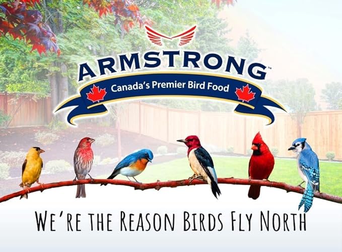 Armstrong Wild Bird Food Four Season Bell, 1 Pound - Premium High-Energy Treat for Year-Round Songbird Feeding - Easy-to-Hang Suet Alternative