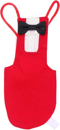 SUPVOX Parrot Bird Diaper Flight Suit with Bowknot Red Small Pet Bird Apparel for Parakeets and Cockatiels for Outdoor Training and Travel