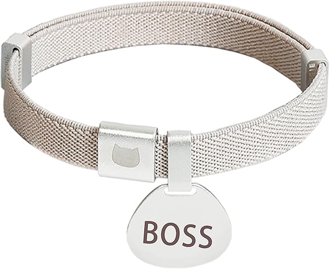 Minimalist Stretch Lightweight Custom Engraved Cat Collar with Name Tag Personalized Cat Collars for Kitten Boy & Girl Cats (Silver White, Collar with ID Tag)