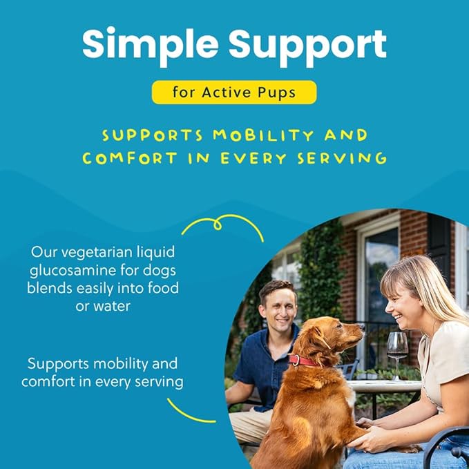 Paramount Pet Health Plant-Based Liquid Glucosamine for Dogs, 1600mg Joint Support Chondroitin, MSM & Omega 3-6-9, Shellfish-Free Dog Arthritis Supplement for Mobility & Flexibility Made in USA 16 oz