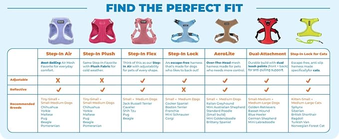 Best Pet Supplies Voyager Step-in Air Harness - All Weather Mesh, Reflective, No Pull Harness for Dogs, Cats - Secure with Hook & Loop Fastener, Buckle, Double D-Rings - Fuchsia, L