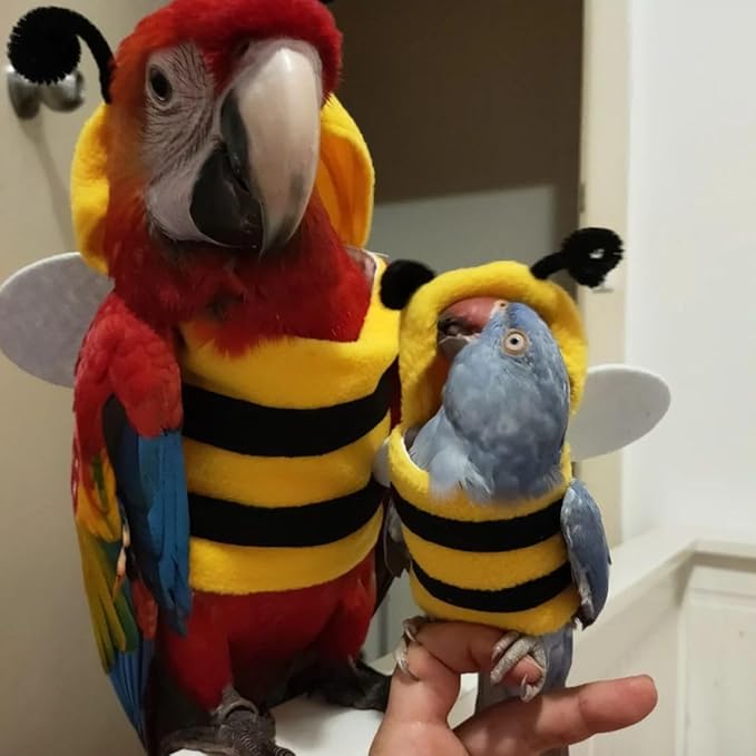 Bird Costume Bird Diaper Flight Suit Bird Bee Shape Bird Clothes Cosplay Photo Prop for Parrots Lovebird Budgie Parakeet Cockatiel (M)