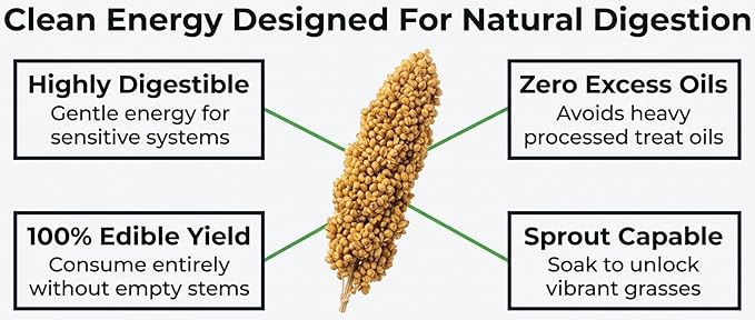 1lb Millet Tips & Tails for Birds - Parakeets, Cockatiels, Lovebirds, Finches, Budgies, Canaries, Cockatoos - Natural & Healthy Millet for Birds - Parakeet Food & Treats for All Parrots (2 Pack)