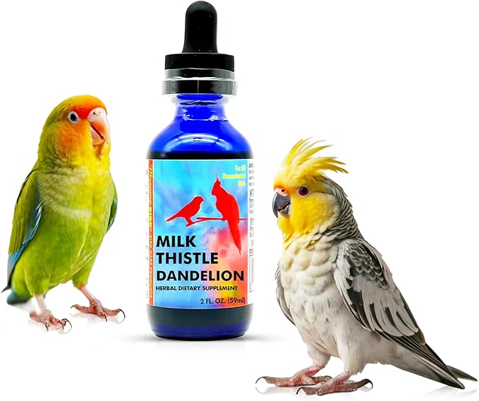 Morning Bird Milk Thistle & Dandelion Extract 2 fl oz – Organic Herbal Supplement for Birds – Supports Liver Health & Natural Detox – Suitable for All Bird Species