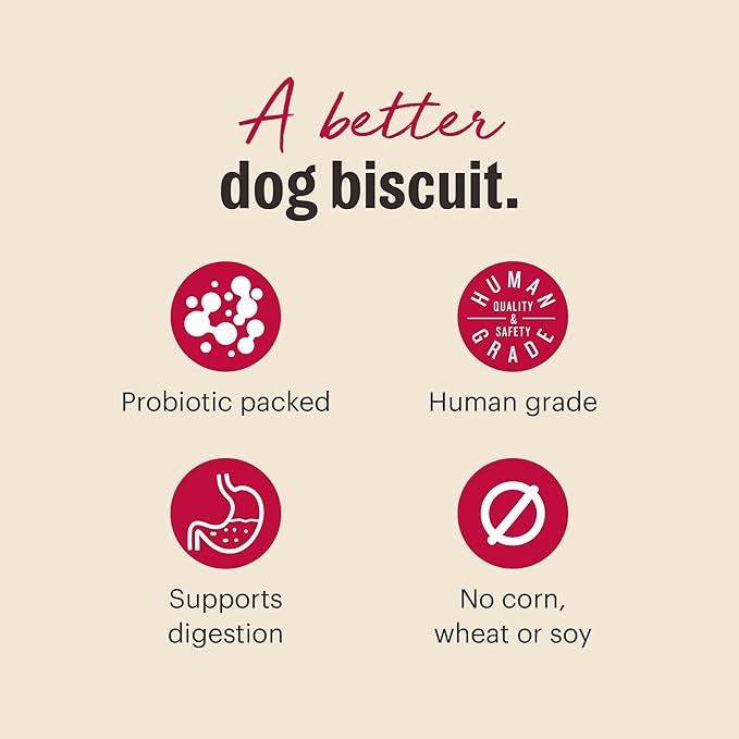 The Honest Kitchen Human Grade Dog Treats Goat's Milk N' Cookies: Slow Baked with Pumpkin, 8 oz Bag
