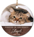 Cat Memorial Ornament - Personalized Ornaments to Memorialize Cats Loss - Kittens, Pets Photo Frame, Custom Keepsake - Pet Loss Gift, Remembrance Gifts - Background Color Options