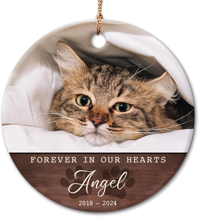 Cat Memorial Ornament - Personalized Ornaments to Memorialize Cats Loss - Kittens, Pets Photo Frame, Custom Keepsake - Pet Loss Gift, Remembrance Gifts - Background Color Options