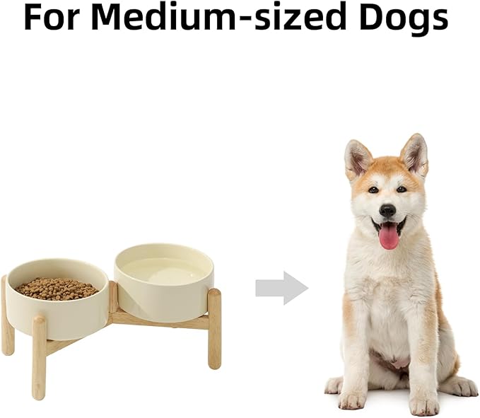 Ceramic 6.1inch Raised Dog Bowl with Stand for Small and Medium Breed Dog Dish Pet Food and Water Bowl (Double Bowl with Stand - Light Yellow, 28oz)