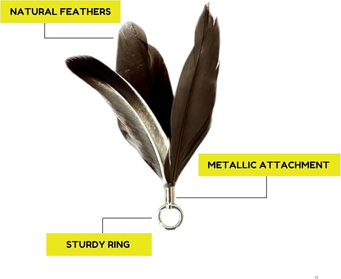Feather Toys Replacements (9 Pc) - Cat Toys & Kitten Toys for Indoor Kittens, Set of Replacement Feather Attachments Extra Small and Durable, for Cat Wands, Natural and Safe