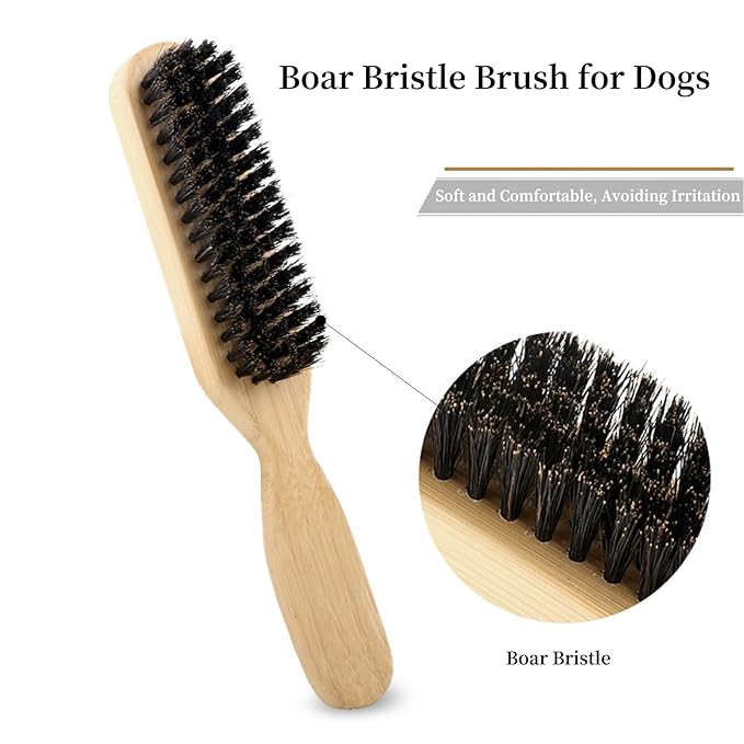 Soft Boar Bristle Dog Brush for Short Haired Dogs - Made of Wood, Gentle Deshedding & Grooming Tool, Ideal Dog Hair Brush for Pets, Dog Brushes for Grooming and Shedding （Large）