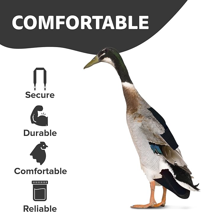 Hen Holster Starter Kit - Wrap-Around Runner Duck Diaper w/ Removable Liner & Fixed Tab - Durable, Secure Fit, Easy-to-Wear - Essential Duck Supplies for Real Ducks, Made in USA - Black