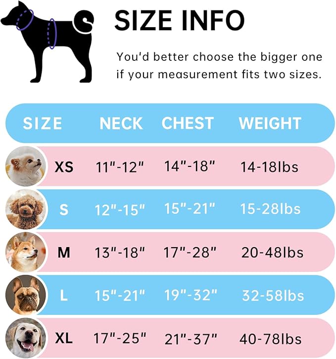 IVY&LANE No Pull Dog Harness with Leash Set, Reflective No Choke Pet Vest,Adjustable Oxford Dog Vest Harness with Easy Control Handle for Medium Lagre Dogs (Checkered Pink,M)