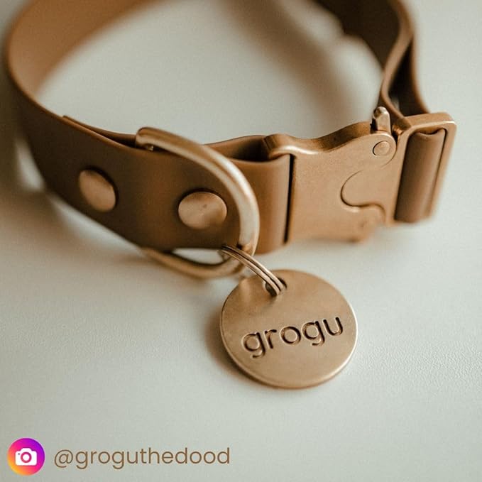 Solid Brass PET TAG - Modern, Minimal Pet IDs. Durable, Lifetime Tags with deep Cut Text. Includes Space for Two Phone Numbers. (Arch)