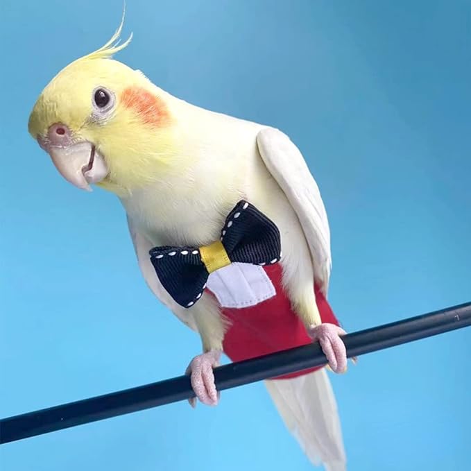 Bird Diaper Harness Flight Suit Clothes with Flying Leash for Parrots Cockatiel Pet Birds, Parrot Clothes, Bird Training Nappy Suit Liners Clothes (M, Red)