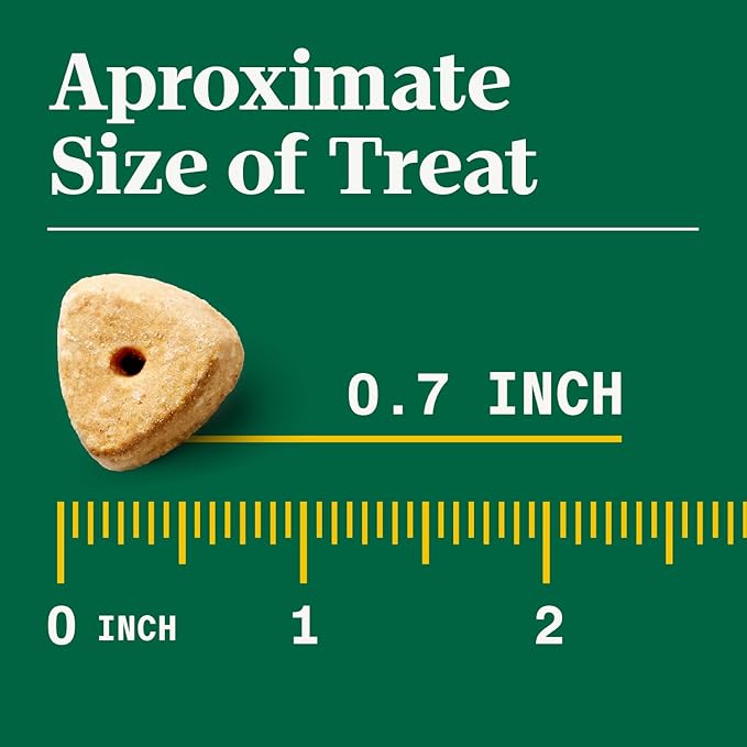 Nutro Crunchy Dog Treats with Real Apple, Training Treats for Dogs, 16 oz. Bag