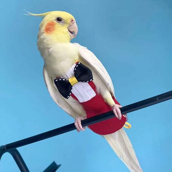 Bird Diaper Harness Flight Suit Clothes with Flying Leash for Parrots Cockatiel Pet Birds, Parrot Clothes, Bird Training Nappy Suit Liners Clothes (M, Red)